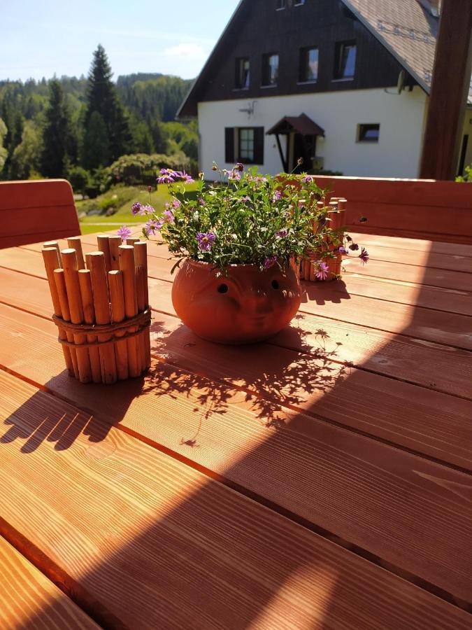 U Tomicku Hotell Paseky nad Jizerou Eksteriør bilde
